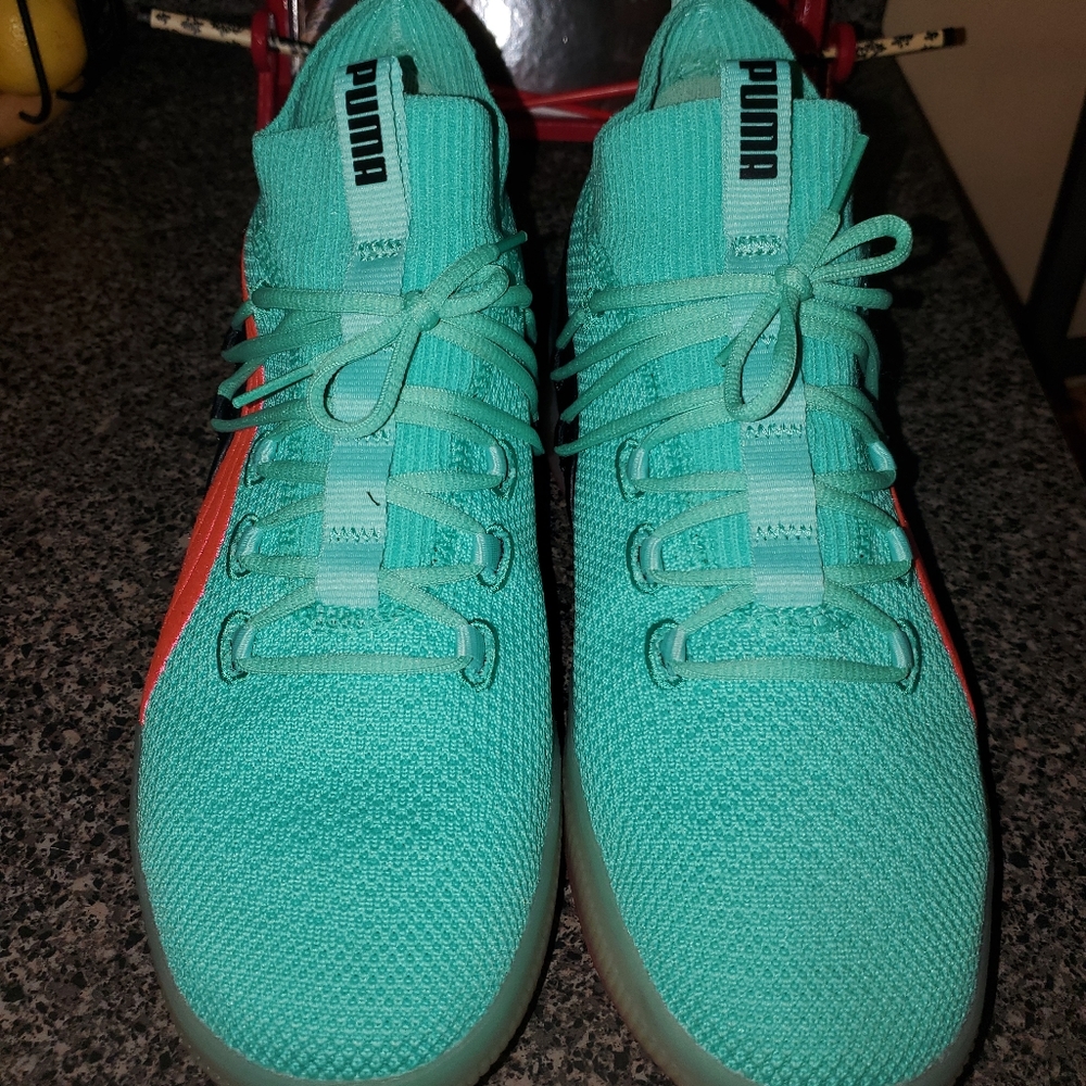Clyde Court Biscay Green